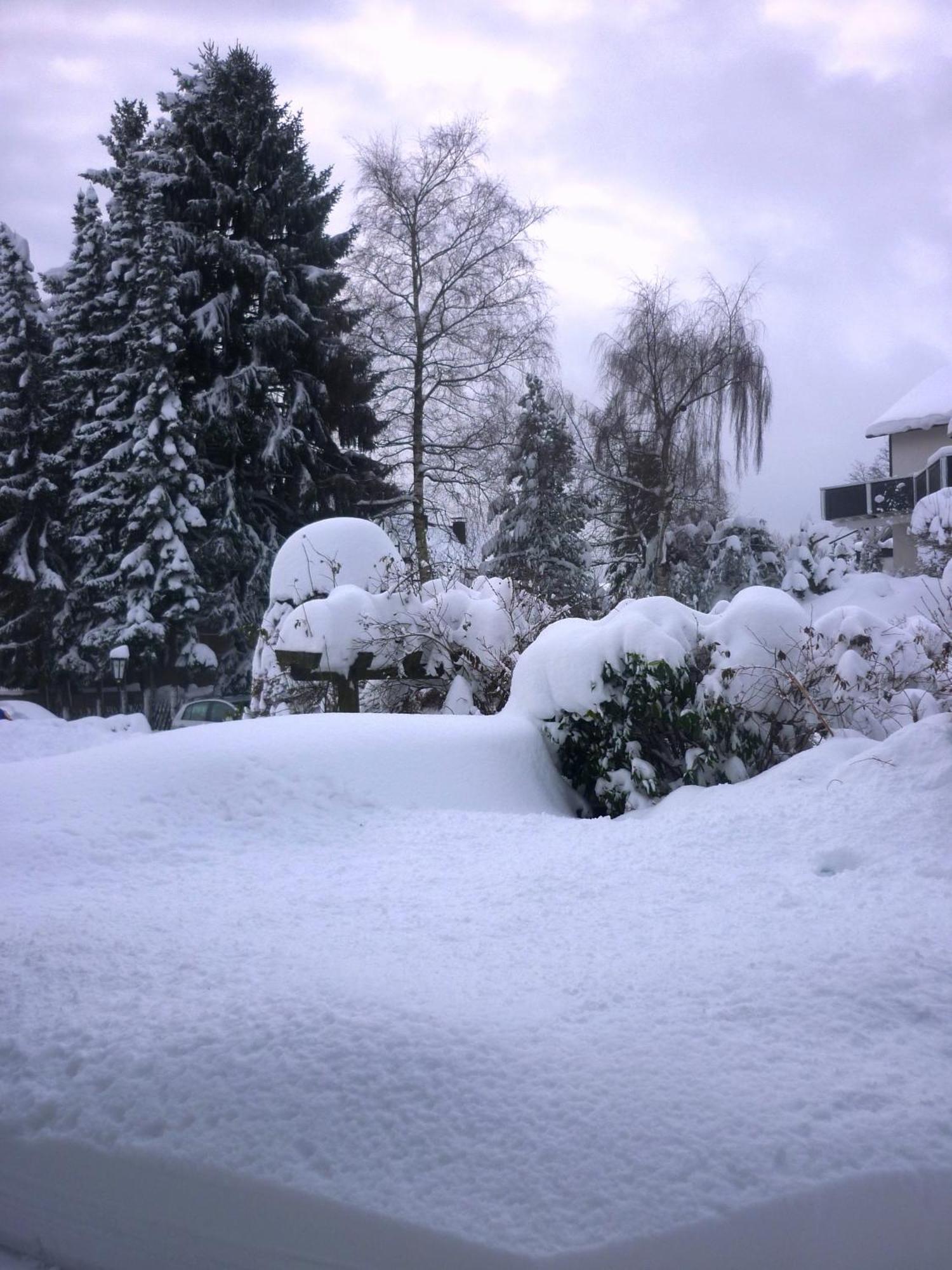 Hotel Forsthaus Winterberg Exteriör bild